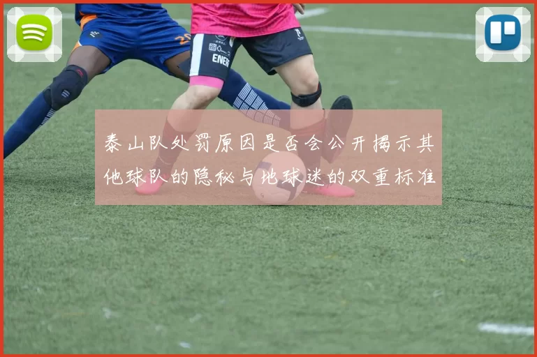 泰山队处罚原因是否会公开揭示其他球队的隐秘与地球迷的双重标准